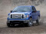 Ford F-150 XLT 2008 года